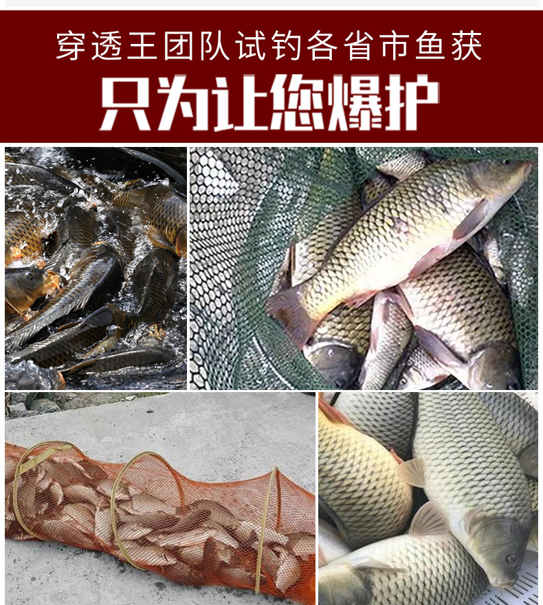 穿透鯉-_11.jpg