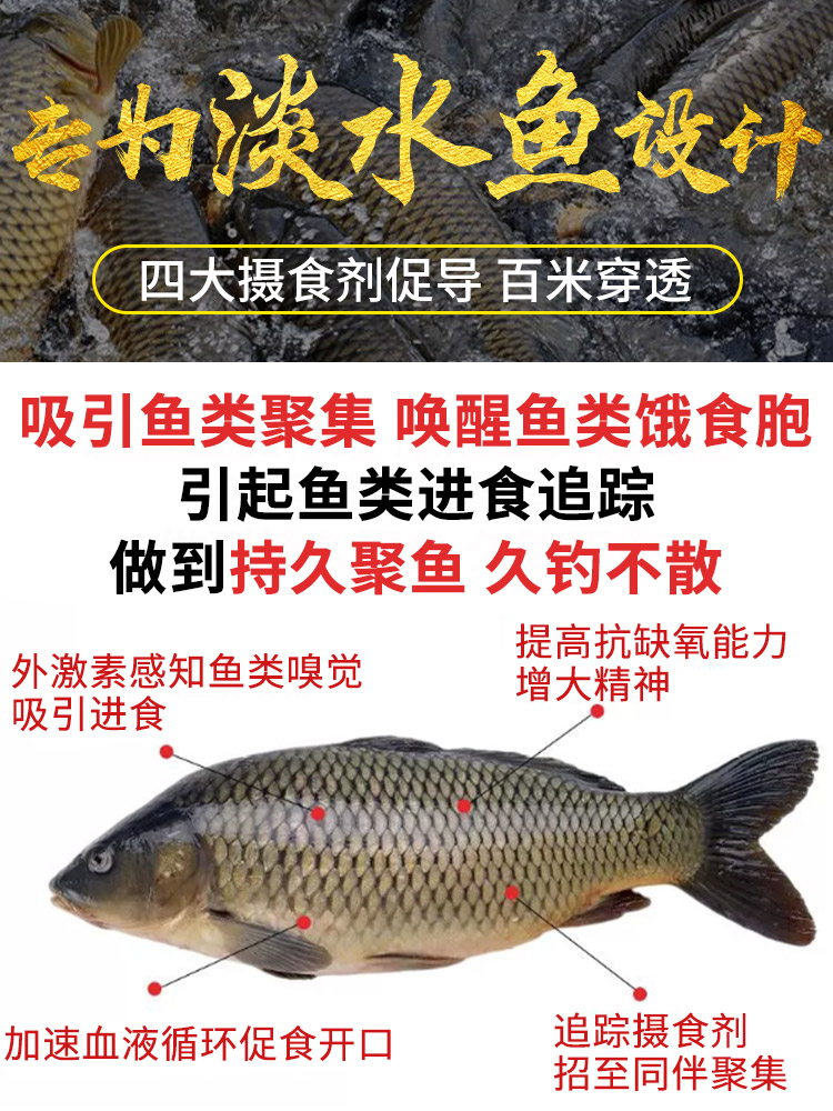 主圖4.jpg