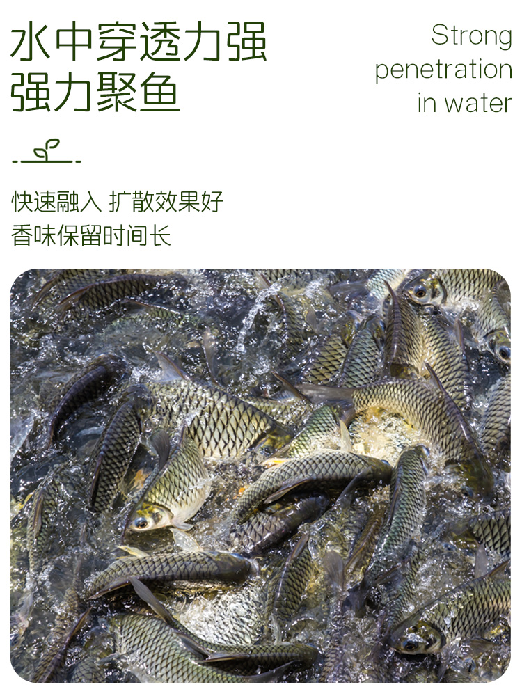 主圖4.jpg