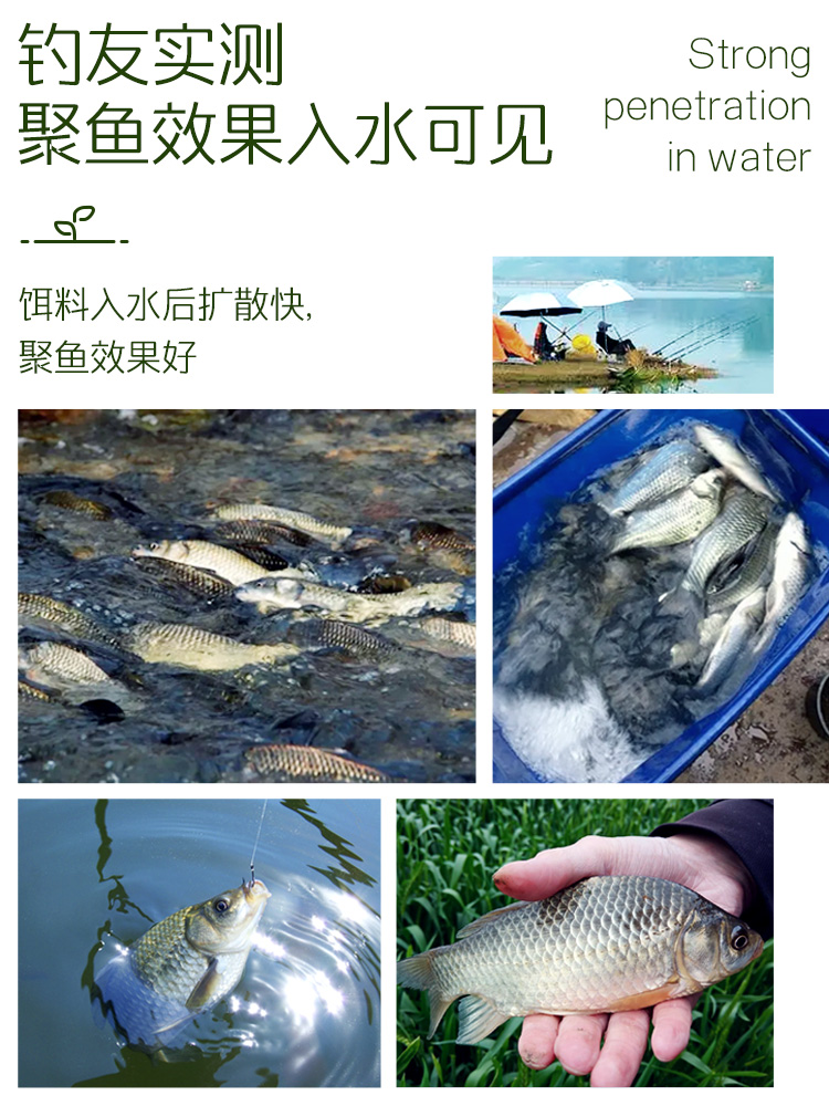主圖5.jpg