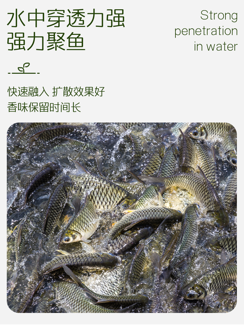 胚芽_04.jpg