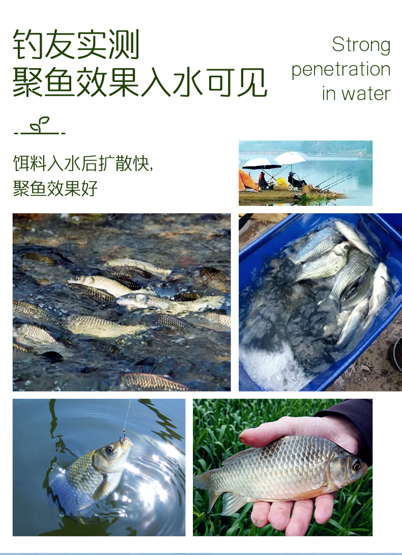 胚芽_05.jpg