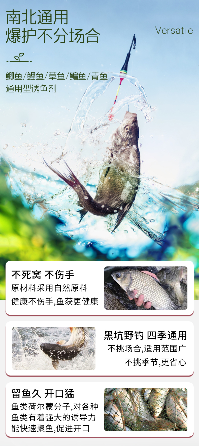 胚芽_06.jpg