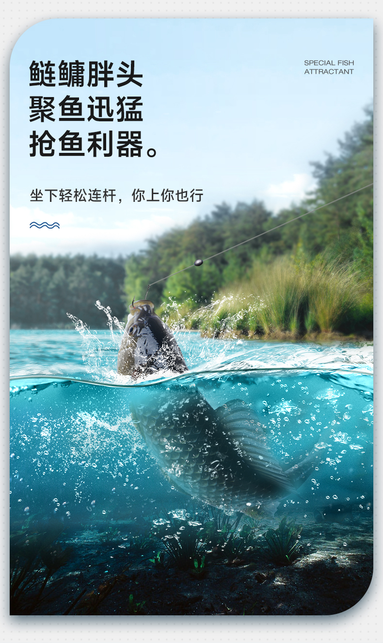 爆鲢鳙-1_02.jpg