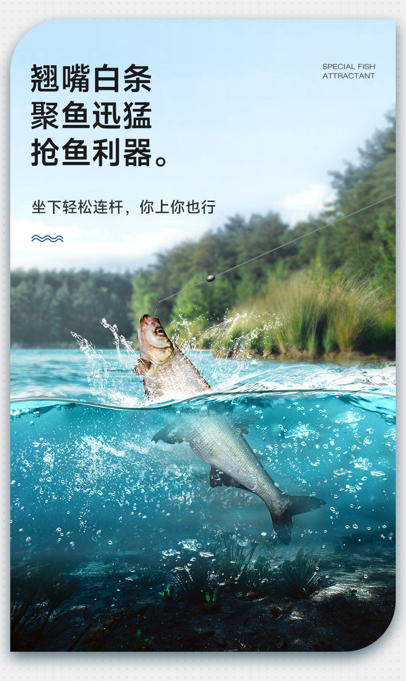 翹嘴-1_02.jpg