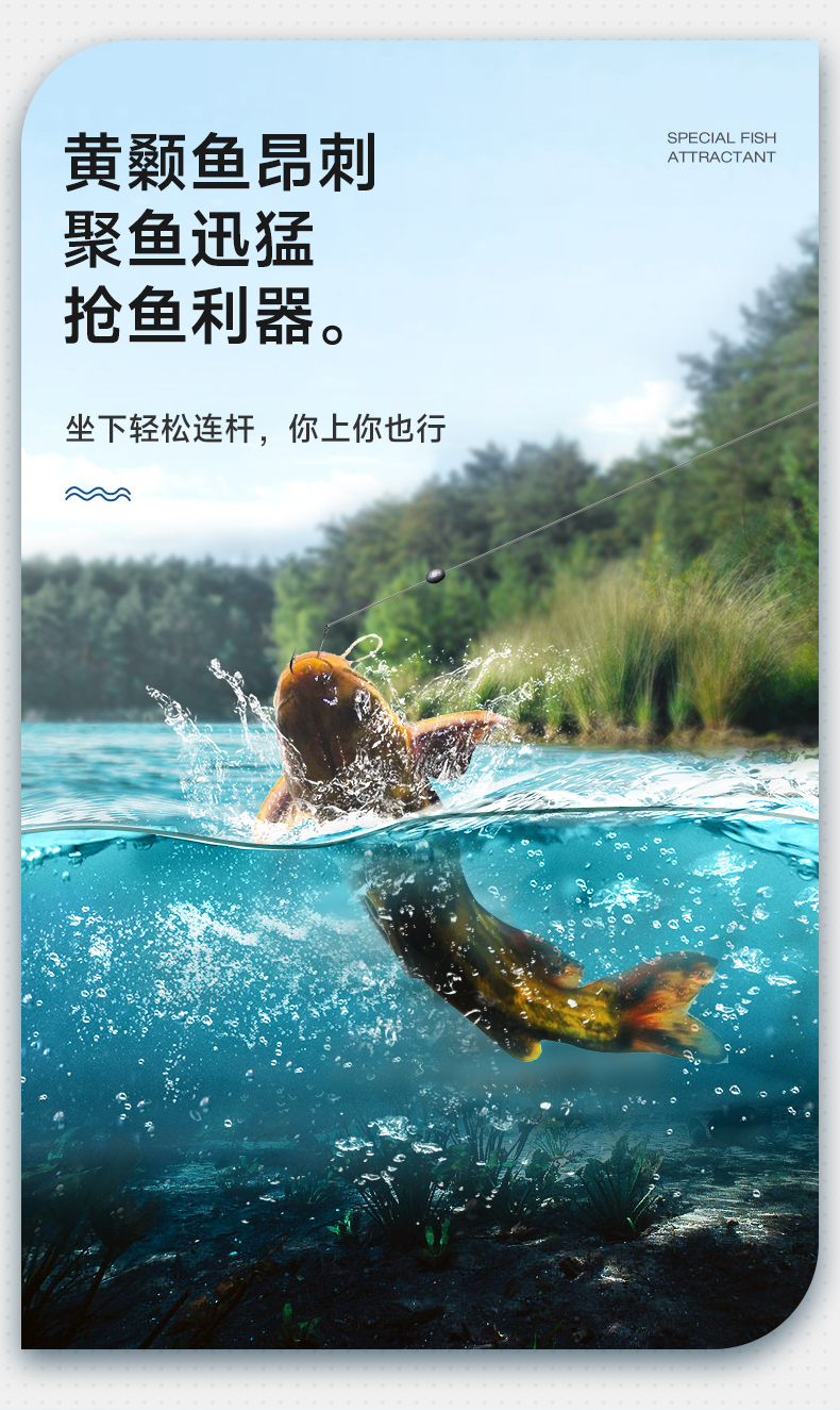 昂公刺客_02.jpg