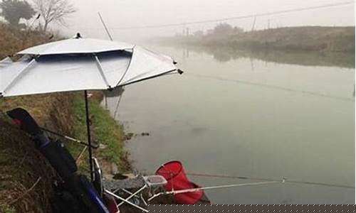 下雨的情況下釣魚(yú)技巧(下雨的情況下釣魚(yú)技巧視頻)(pic1)