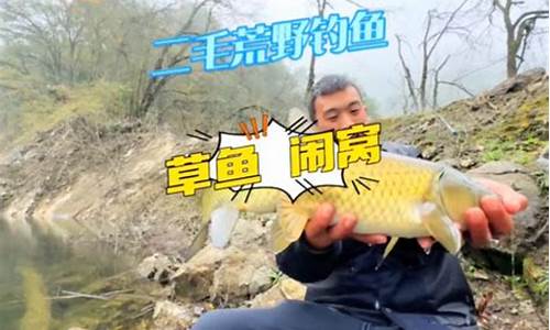 釣魚視頻鯉魚吃鉤視頻(釣魚視頻鯉魚吃鉤視頻大全)(pic1)