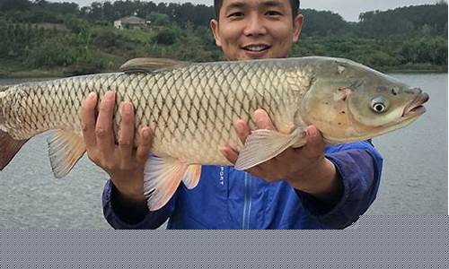 南方春天釣魚技巧(南方春天釣魚技巧和方法)(pic1)