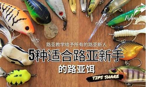 適合新手的路亞釣魚視頻(新手路亞釣魚教學(xué)視頻)(pic1)