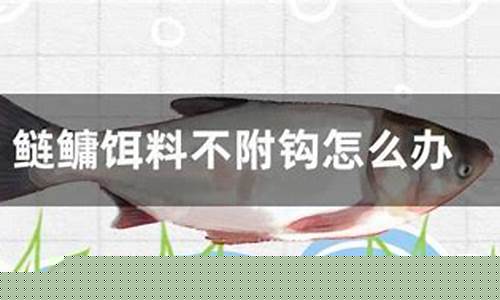 魚餌料霧化不好怎么辦(魚餌料霧化不好怎么辦呢)(pic1)