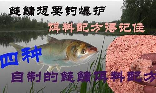 鰱鳙自制餌料視頻(鰱鳙自制餌料視頻教程)(pic1)