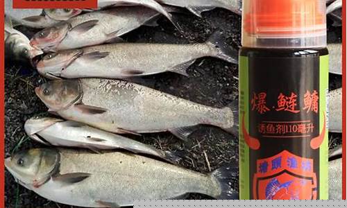 秋季釣魚小藥(秋季釣魚小藥哪種最好)(pic1)