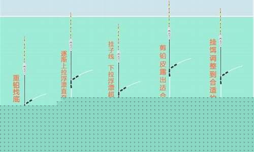野釣鯽魚怎么調(diào)漂視頻(野釣鯽魚怎么調(diào)漂視頻教程)(pic1)