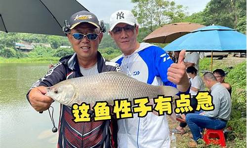 廣西釣魚視頻 假(廣西釣魚視頻野釣實(shí)戰(zhàn))(pic1)