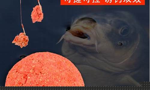 釣魚網(wǎng)釣魚技巧餌料(釣魚網(wǎng)釣魚技巧餌料怎么用)(pic1)