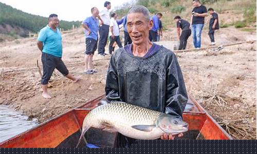 2025丹江大偉釣魚視頻(丹江大偉釣魚視頻最新)(pic1)