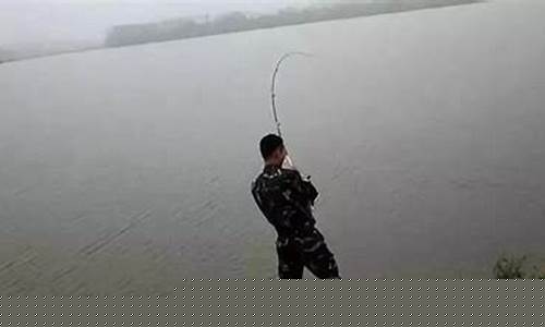 11月阴天钓鱼技巧(11月份阴天好钓鱼吗)(pic1)