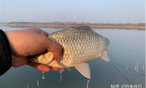 10月份釣魚(yú)技巧鯽魚(yú)(10月份釣魚(yú)技巧鯽魚(yú)怎么釣)(pic1)