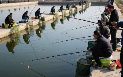 穿透王誘魚劑使用方法圖片及價格是多少啊(穿透王誘魚劑使用方法圖片及價格是多少啊)(pic1)