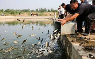 穿透王誘魚劑怎么用的啊圖片呢最新(穿透王誘魚劑怎么用的啊圖片呢最新版)(pic1)