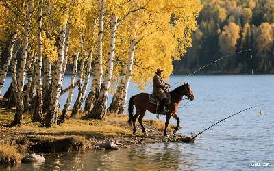 王者穿透计算公式最新版下载(王者穿透计算公式最新版下载安装)(pic1)