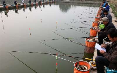 鱼竿配件的种类(鱼竿配件的种类有哪些)(pic1)