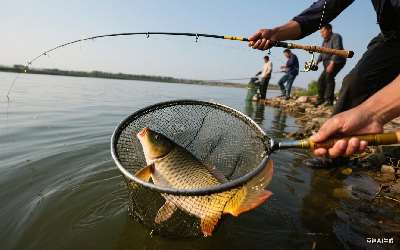 渔料配方(鱼料配方大全 自配视频)(pic1)