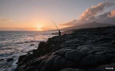 穿透王饵料怎么样好不好(穿透王饵料怎么样好不好用)(pic1)