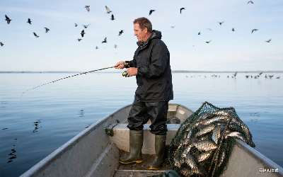 鲫鱼窝料大米怎么配(鲫鱼窝料大米怎么配比)(pic1)