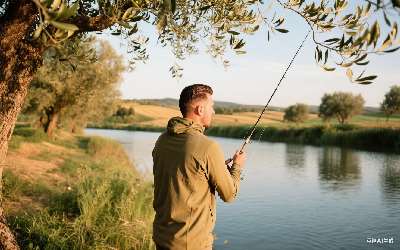 钓鲢鳙用什么商品饵料好点(钓鲢鳙用什么商品饵料好点呢)(pic1)