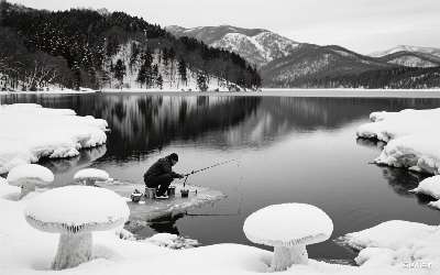 黄鳝水上漂什么饵料好(黄鳝水上漂什么饵料好用)(pic1)