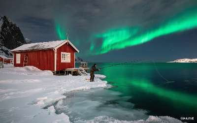 穿透王百果花香是果酸么(穿透王麝香液效果怎么样)(pic1)