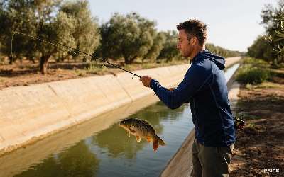 麸皮菜籽饼怎么做鲫鱼窝料(麸皮菜籽饼怎么做鲫鱼窝料好吃)(pic1)