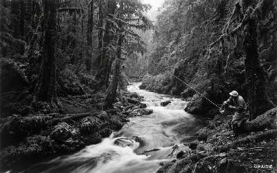 繁昌穿透王鱼饵有限公司招聘最新消息(繁昌穿透王鱼饵有限公司招聘最新消息)(pic1)