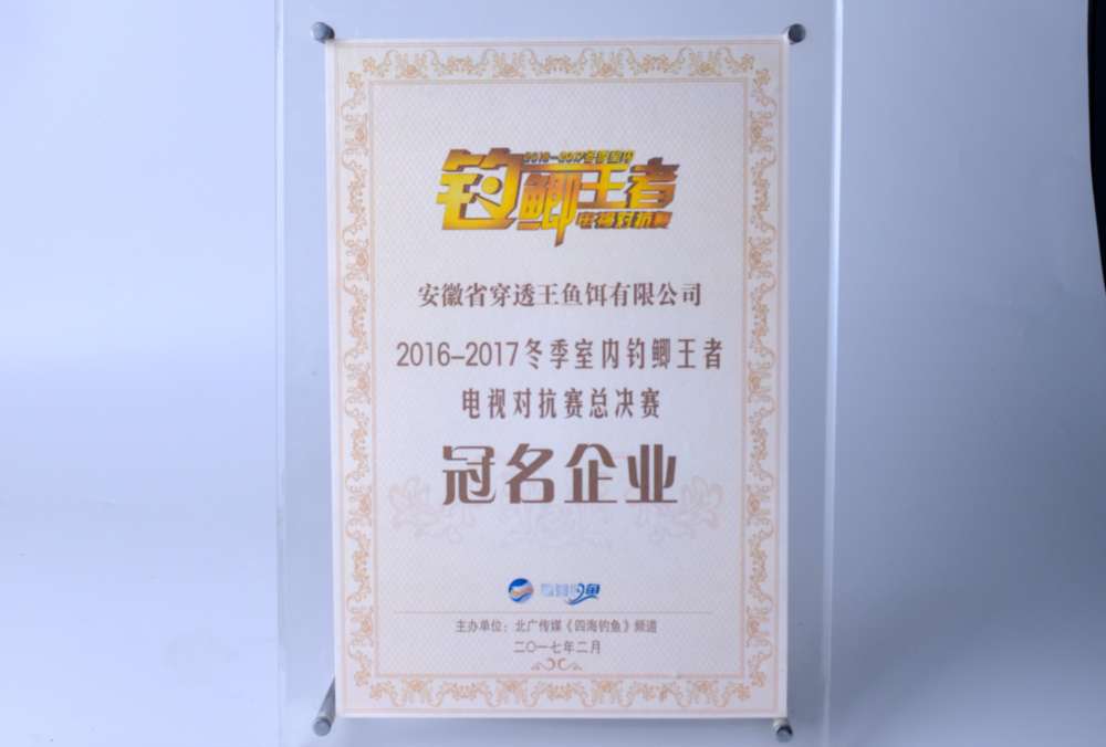 穿透王荣获钓鲫王者电视对抗赛总决赛冠名企业荣誉