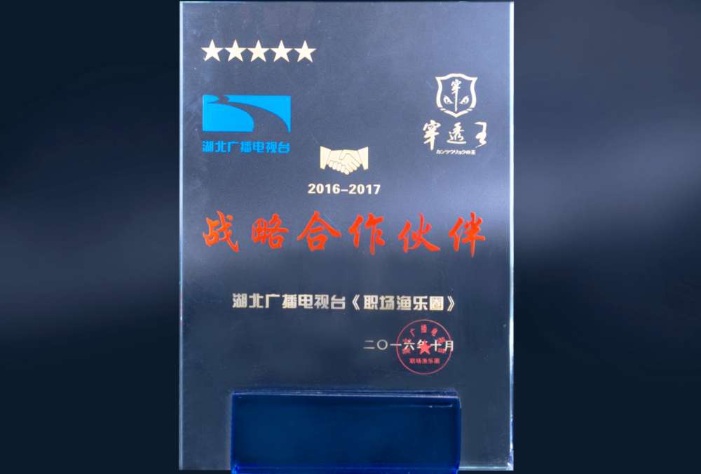2016-2017-湖北电视台战略合作伙伴.jpg