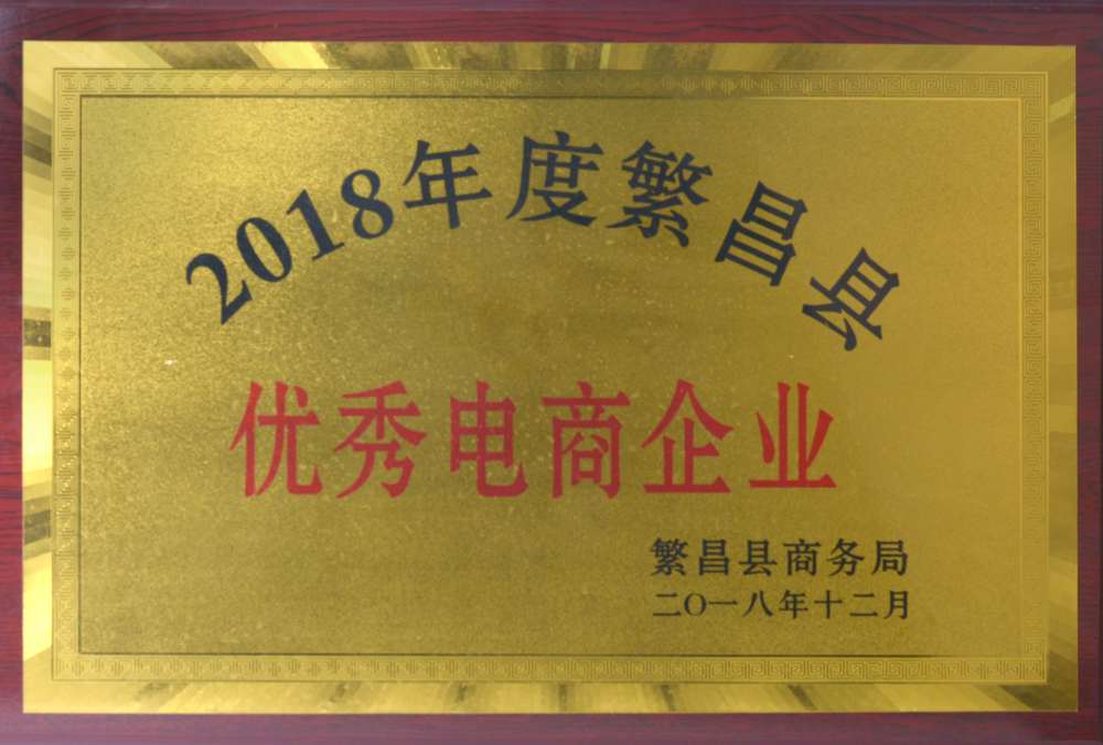 2018-繁昌縣-優(yōu)秀電商企業(yè).jpg