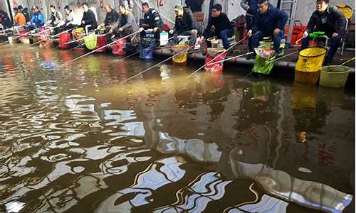 冬釣大棚魚老是蹭線(冬季大棚釣鯉魚線組)