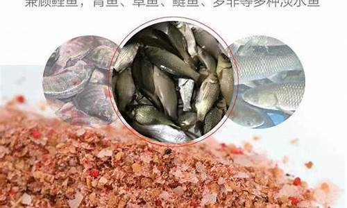 專用釣鯉魚(yú)餌料配方(釣鯉魚(yú)餌料配方釣鯉魚(yú)魚(yú)餌配)