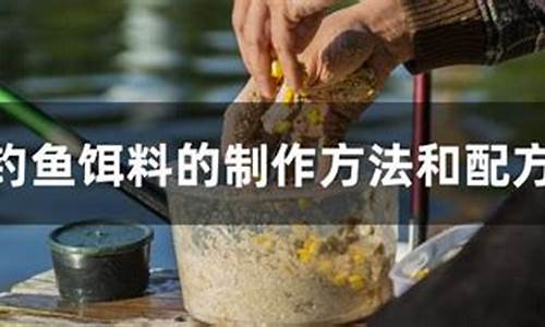 怎么自己制作饵料配方(自制饵料视频教学)