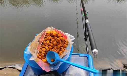 萬能釣魚餌料配方圖片大全(釣魚餌料怎么做配方真人圖片和視頻)