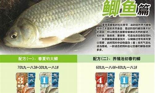 經(jīng)典魚餌配方大全(最簡(jiǎn)單魚餌配方通用大全)