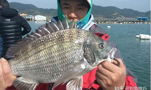 釣魚(yú)的魚(yú)餌配方有哪些種類(釣魚(yú)餌料的絕密配方全書(shū))