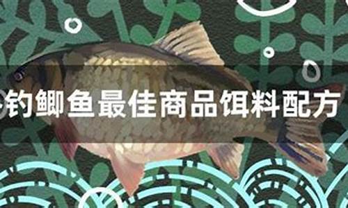 冬釣鯽魚(yú)餌料配方大全(冬釣鯽魚(yú)魚(yú)用什么餌料最好)