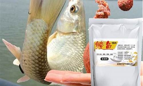 釣鯪魚(yú)的餌料配方推薦(釣鯔魚(yú)的餌料)