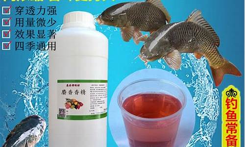 釣鯽魚(yú)魚(yú)餌小藥配方(鯽魚(yú)釣餌最佳配方)