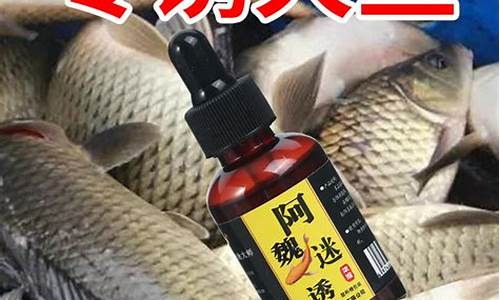 釣魚小藥小白面(釣魚小藥小白水怎么樣)