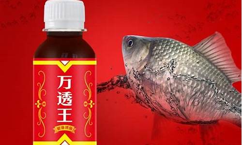 穿透王聚魚(yú)寶小藥視頻(穿透王聚魚(yú)寶怎么用)