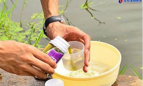 釣魚小藥果酸怎么用(釣魚小藥果酸怎么用效果好)